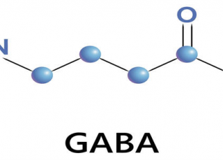 什么是γ-氨基丁酸？