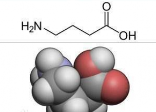 Y- 氨基丁酸对身高的影响？