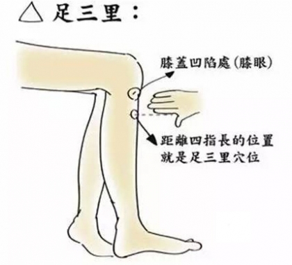 捶腿长高的穴位 常按足三里穴有助于长高